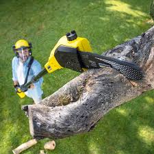 Best Lawn Grading and Leveling  in Mbria, CA