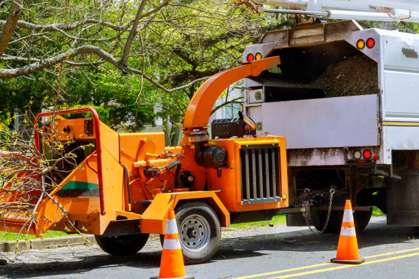 Best Utility Line Clearance  in Mbria, CA